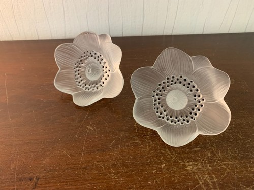 Crystal anemone flowers - crystal,