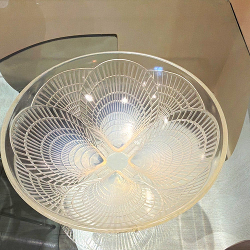 Lalique coquille pattern - r,
