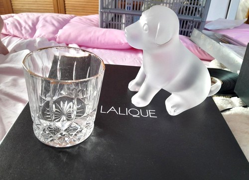 Lalique stunning puppy sweety - stunning,